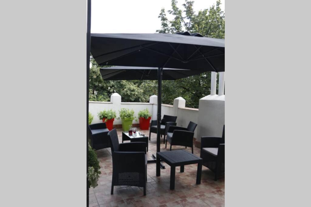 Rock - Studio With 30M2 Terrace Belgrade Luaran gambar